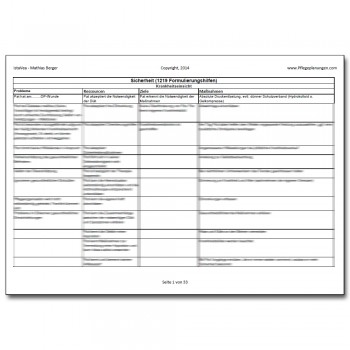 Download 1219 Formulierungshilfen Sicherheit Pflegeplanung