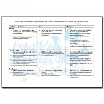 Download Pflegeplanung Demenz, Parkinson, Pneumoniegefahr, Sturz